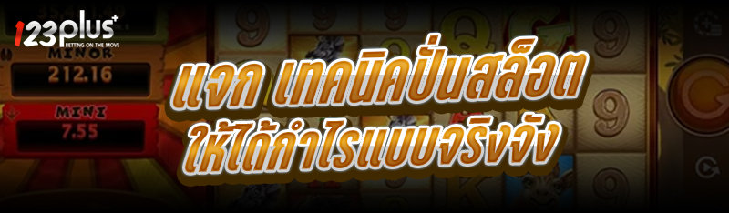 เทคนิคปั่นสล็อต