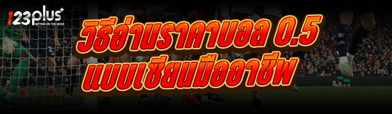 วิธีอ่านราคาบอล 0.5